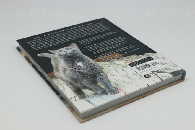 廣州企業(yè)產(chǎn)品畫冊設(shè)計(jì)印刷 廣州餐飲畫冊設(shè)計(jì)制作