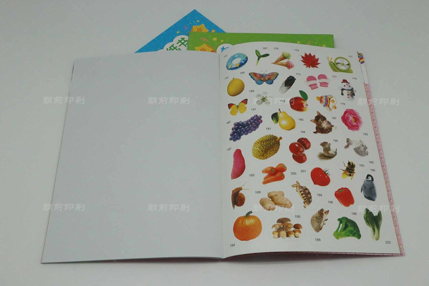 廣州公司畫冊印刷價(jià)格 廣州平面畫冊設(shè)計(jì)制作