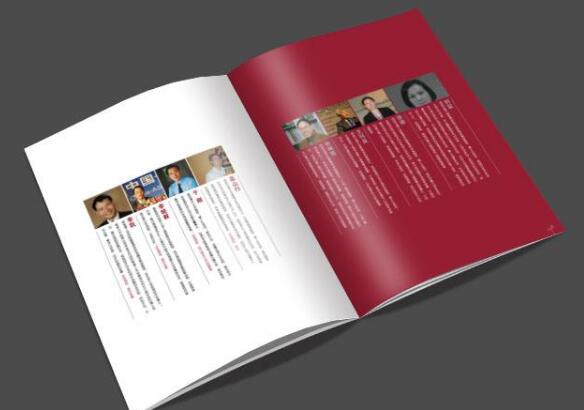 廣州公司宣傳畫冊設計印刷廠家 廣州企業(yè)畫冊設計印刷制作